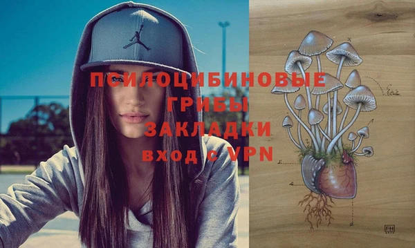 марки nbome Богданович