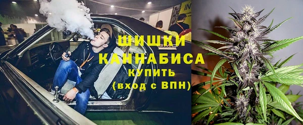 дживик Богородск