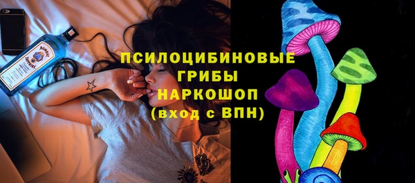 дживик Богородск